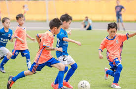 2026国际足联世界杯 室内健身架推荐